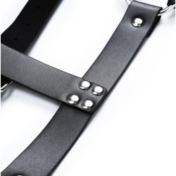 Generique Harnais CHEST BELT Noir